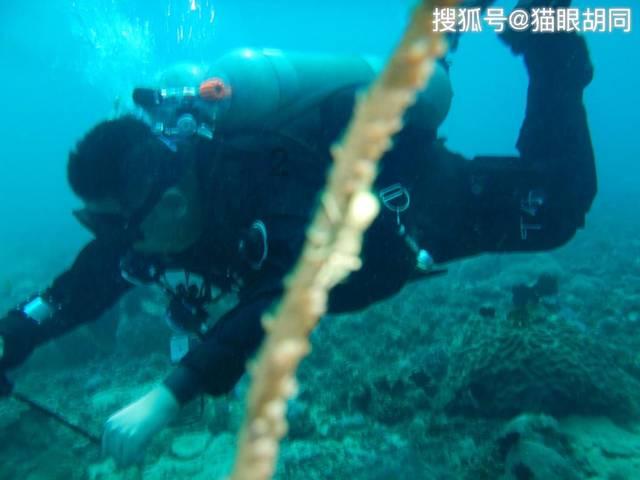 探索亮眼吸睛的柠檬黄色毛衣,更适合哪些肤色的女生穿搭?,解决你的困惑